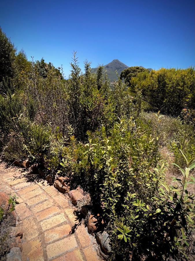 Windrose, Noordhoek, Sensationeller Meerblick Ferienhaus