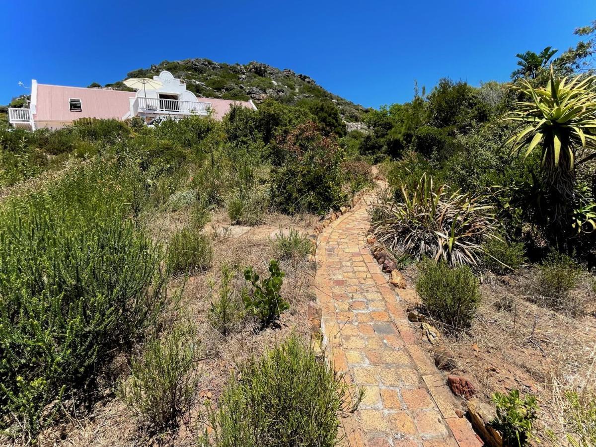 Windrose, Noordhoek, Sensationeller Meerblick Ferienhaus Kapstadt